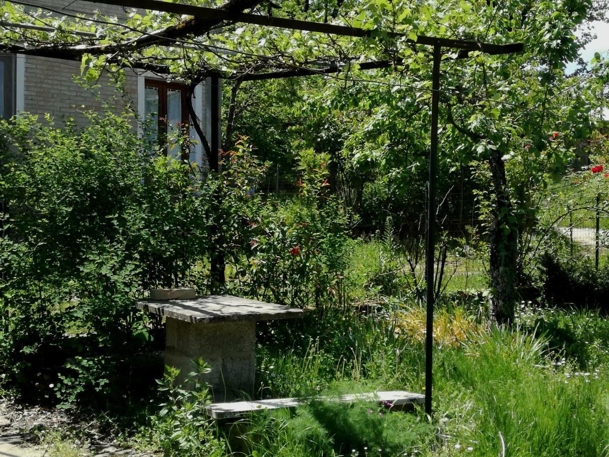 Casa Nel Verde Decollatura Экстерьер фото
